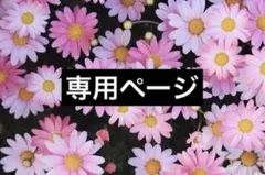 む様 専用ページ