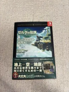 ゼルダの伝説 ティアーズ・オブ・ザ・キングダム パーフェクトガイド