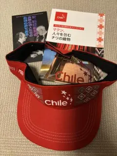 Item thumbnail for item 75f92787-e696-4566-a827-f298cc52c95a