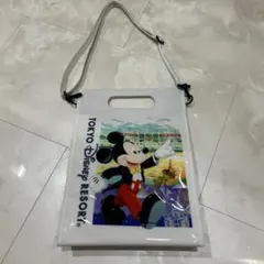 Item thumbnail for item 4a000136-b676-4e87-a508-88c02ea0f626