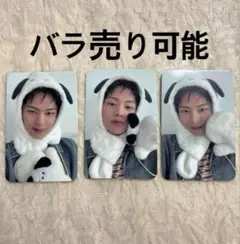 BTOB ソンジェ アルバム トレカ frommstore ポチャッコ プロム
