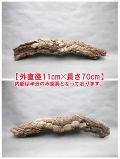 W733 ポルトガル産 キャノンコルク コルク樹皮 コルク板　バージンコルク W733 ポルトガル産 キャノンコルク コルク樹皮 コルク板 バージン