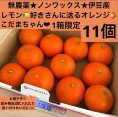 【1set限定こだま★レモン好きさんに送るオレンジ★】安心安全ノンワックス伊豆産