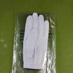 Item thumbnail for item 19033027-38fe-4930-a9f2-857311178f7d