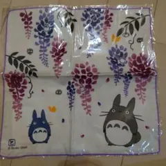 Item thumbnail for item b91b72b6-d2fd-4430-85e7-38be2d183e21