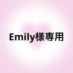 Emily様 リクエスト 2点 まとめ商品