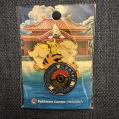 2025年最新】ポケモンセンター ピンズ 沖縄の人気アイテム