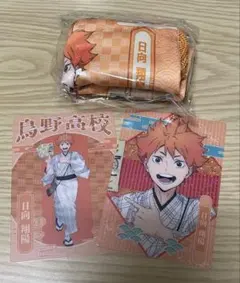 ハイキュー　レッツゴーキョウト　日向