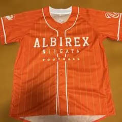 アルビレックス新潟 ベースボールシャツ 美品