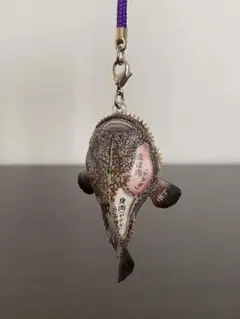 ご当地 解剖図鑑シリーズ 鮭児 毛蟹 フィギュア ストラップ まとめ売り ご当地 解剖図鑑シリーズ 鮭児 毛蟹 フィギュア ストラップ まとめ売り