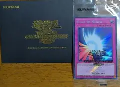 遊戯王　wcs 2025 黒封筒とミラーフォース WCS