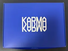 straykids スキズ アルバム KARMA