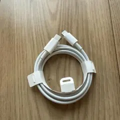 Apple純正 USB-C to Lightningケーブル 1m