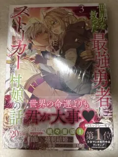 世界を救った最強勇者にストーカーされる村娘の話 第3巻