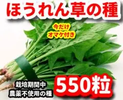 yashio様 リクエスト 2点 まとめ商品