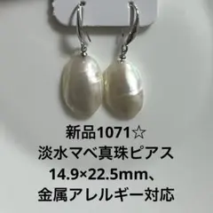 新品1071☆淡水マベ真珠ピアス14.9×22.5mm、金属アレルギー対応