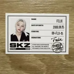 straykids This&That THISver. 封入　フィリックス