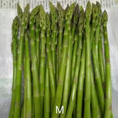 Мサイズアスパラ！北海道産のサムネイル