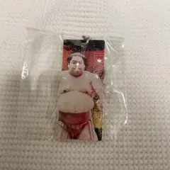 大栄翔　大相撲　アクリルキーホルダー