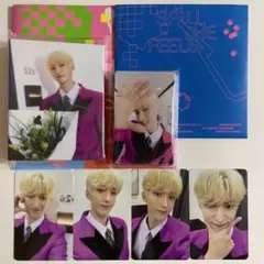 SEVENTEEN ドギョム SPILL CARAT盤 トレカ 28点 コンプ