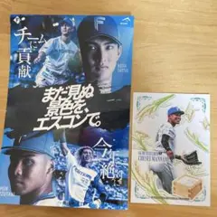 ファイターズトレカ万波・ステッカー　達、水谷