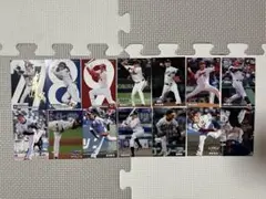 プロ野球チップス2024　14枚セット(スターカード3枚あり)