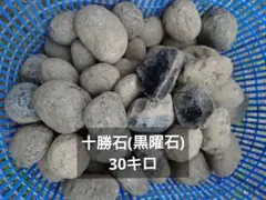 30キロ 十勝石 天然オブシディアン 黒曜石 原石 サイズバラバラ詰め合わせ 30キロ 十勝石 天然オブシディアン 黒曜石 原石 サイズバラバラ