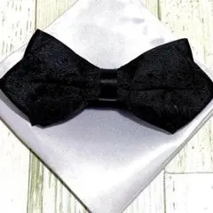 Item thumbnail for item 63d6c53a-6f9c-40e5-bb81-0c3a6eda8465