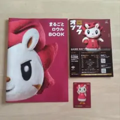 川崎ブレイブサンダース