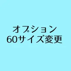 オプション 60サイズ変更