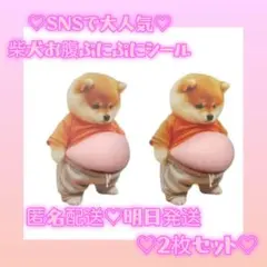 【明日発送】新品未使用　おなか ぷにぷに シール 柴犬 ステッカー 　２枚セット