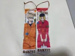 ハイキュー‼︎ ガチャ ペイントスーツガーランドコレクション　月島蛍 孤爪研磨