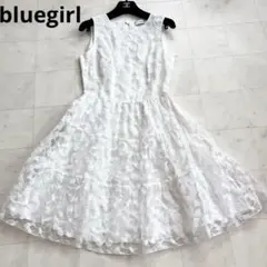 【美品】bluegirl ブルーガール エンブロイダリー 総レース ワンピースのサムネイル