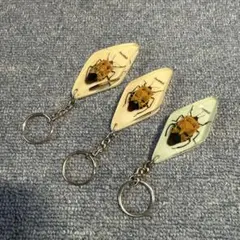 2026年最新】昆虫標本キーホルダーの人気アイテム - メルカリ