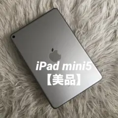 【完動品】iPad mini5 256GB 【すぐ発送】