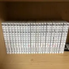 十字架のろくにん 1-24巻 全巻セット 完結 美品 カバー付き 黄ばみなし 十字架のろくにん 1-24巻 全巻セット 完結 美品 カバー付き 黄ばみなし