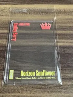 りんご様 リクエスト 2点 まとめ商品