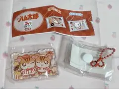 とっとこハム太郎 みてコレ トラハムくん＆トラハムちゃん