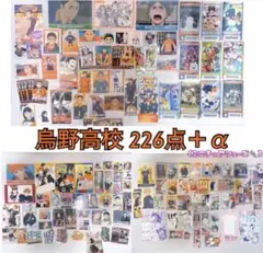 【本日限定価格】ハイキュー!! 烏野高校 まとめ売り