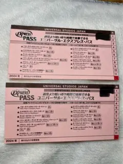日曜日まで　USJ ユニバーサル・エクスプレス・パス 2枚　 ニンテンドー確定