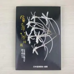 風蘭、富貴蘭図鑑など6冊 まとめて出品 風蘭、富貴蘭図鑑など6冊 まとめて出品