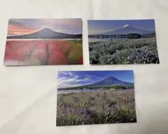 Item thumbnail for item f95f12f6-dcc3-4cf1-af93-0690b794409b