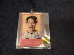 木浪選手 阪神タイガース 虎耳アクキーのサムネイル