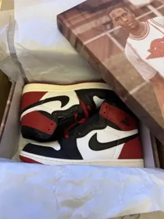 【よっちゃん様専用】Air Jordan 1 Black Toeつま黒　26cm