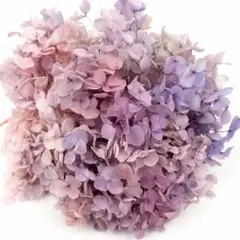 ♡心愛様専用ページ♡ドライフラワースワッグpinkflower♡ - メルカリ