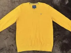 AMERICAN EAGLE Vネック ニットのサムネイル