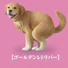 ゴールデンレトリバー カプセルトイ