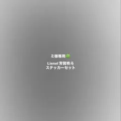 ミ様専用
