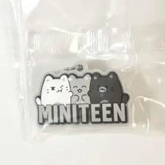 MINITEEN ガチャ ジュン SEVENTEEN