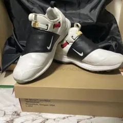 ⭐︎希少⭐︎Nike Infinity BOA 2白黒パンダ28.5㌢